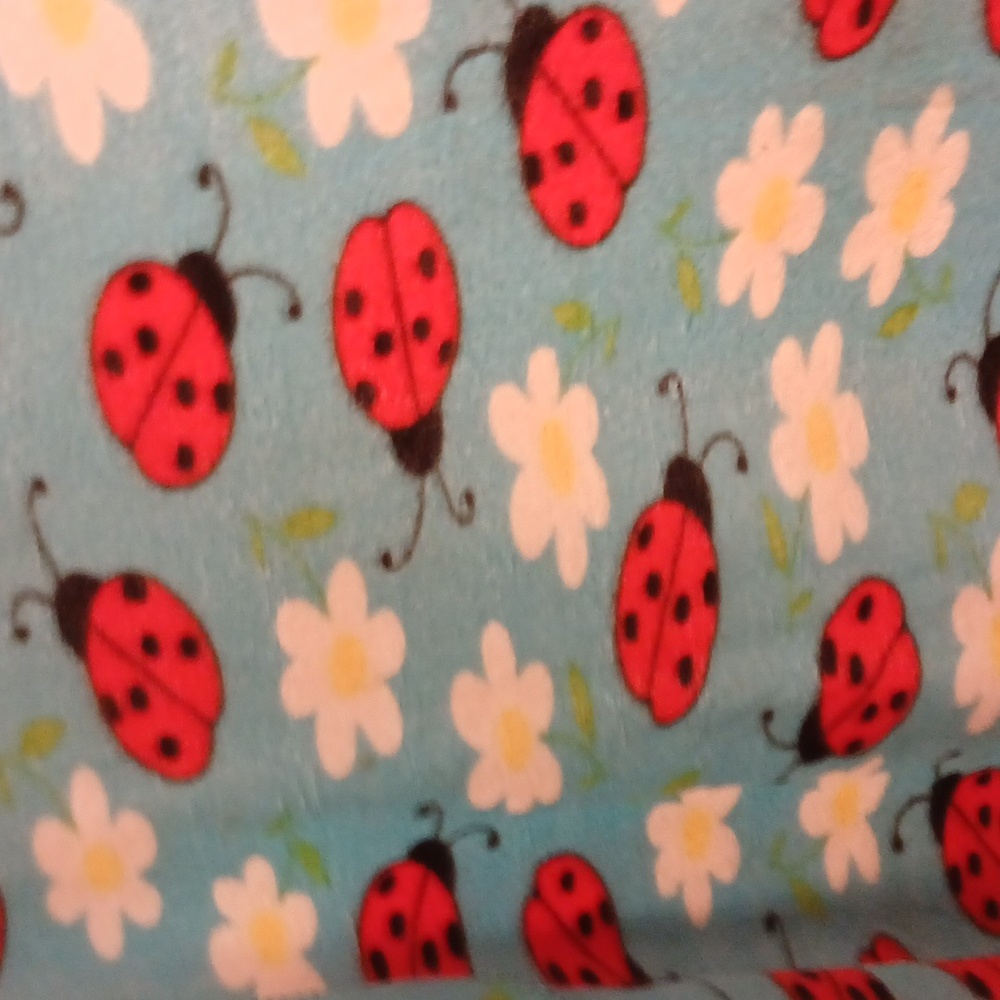 Children's Lady Bug Blanket